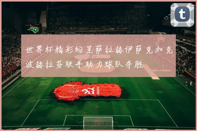 世界杯精彩纷呈萨拉赫伊萨克加克波赫拉芬联手助力球队夺胜