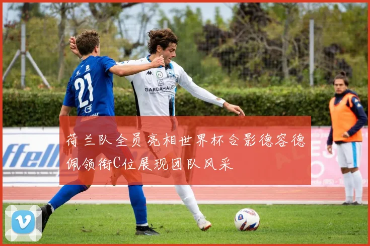 荷兰队全员亮相世界杯合影德容德佩领衔C位展现团队风采