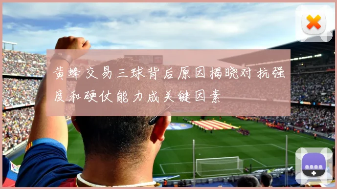 黄蜂交易三球背后原因揭晓对抗强度和硬仗能力成关键因素